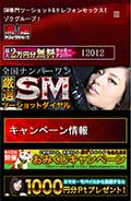厳選SM