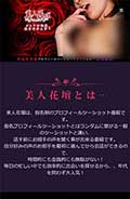 美人花壇